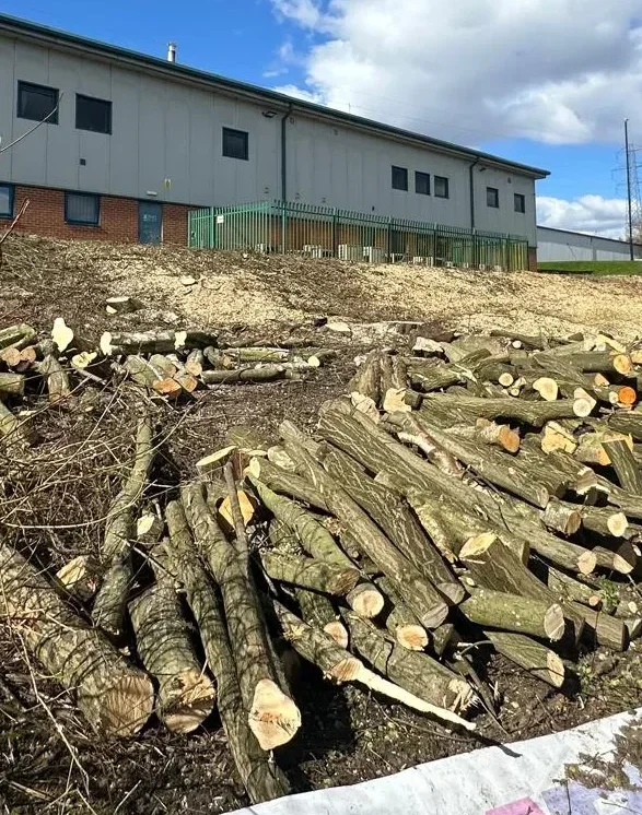 soft felling